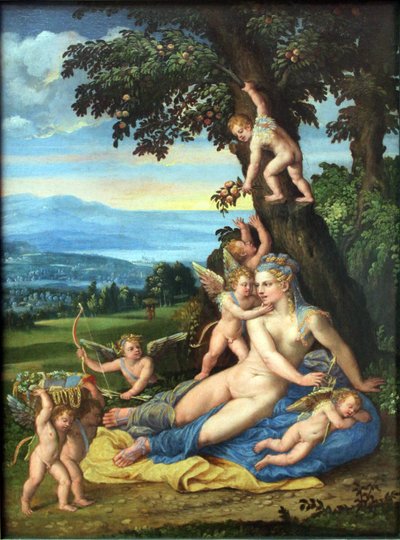 Venus y Cupido de Battista Dossi